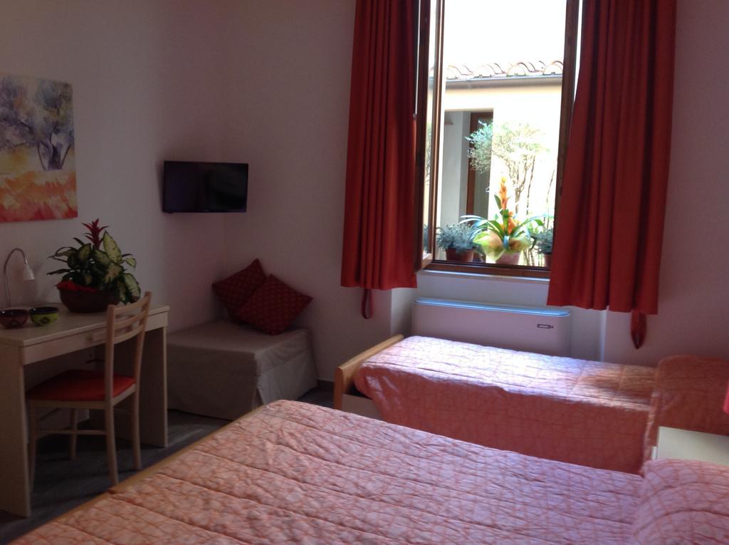 Camollia Sienne